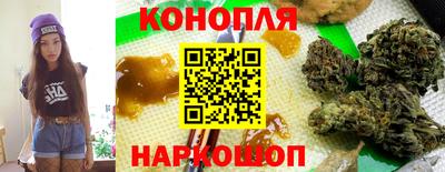 трава Кингисепп