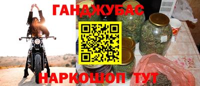 трава Кингисепп