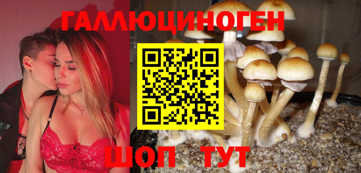 Кстово  Псилоцибиновые грибы Cubensis  Вход с VPN 